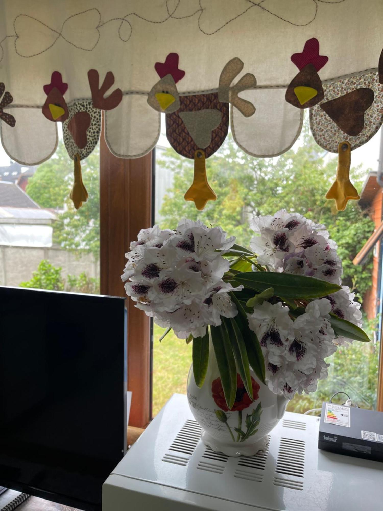 Acomodação com café da manhã  Hause Puerto Varas